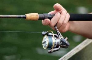 Guide to the Most Popular Types of Fishing Lines