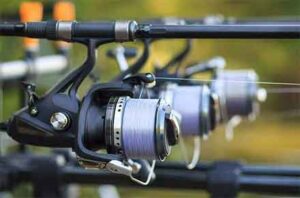 How to Choose the Best Fishing Reel for Your Needs - Your Complete Guide!