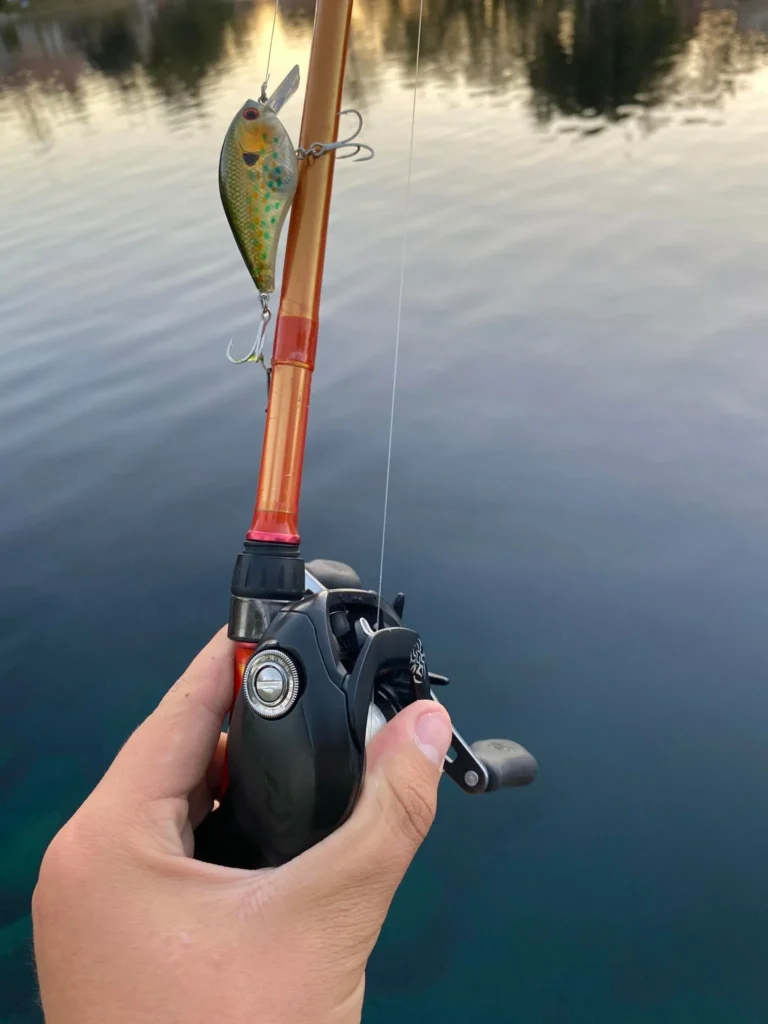 Fishing lure on the rod